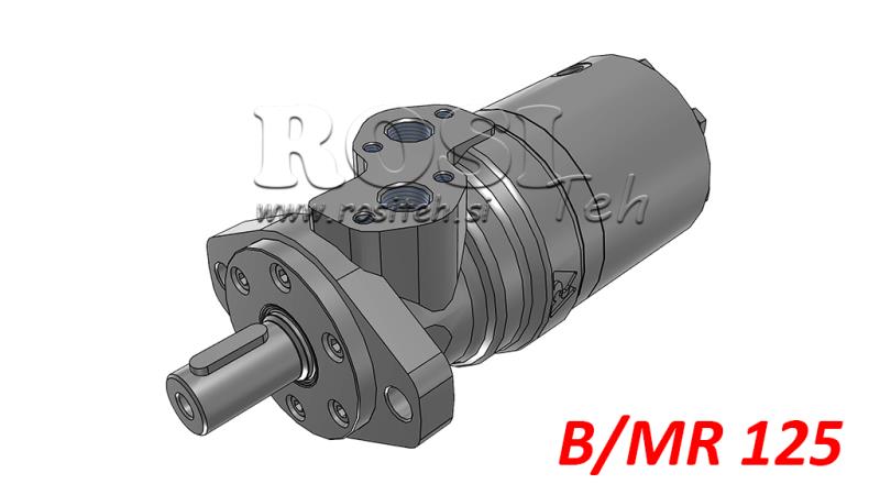 HIDROMOTOR B/MR 125 - FÉKKEL