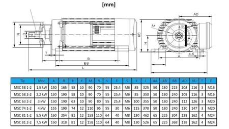 ELECTRIC MOTOR CIRCULAR 400V-3kW-2820rpm MSC 63 2-2